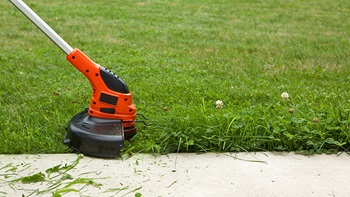 kantenmaaier trimt gras